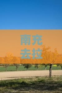 南充去拉萨自由团费用、路线及旅游攻略一览