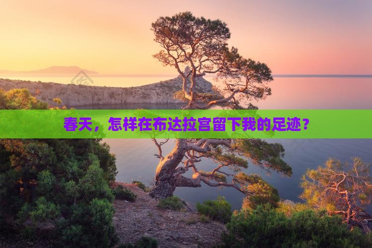 春天，怎样在布达拉宫留下我的足迹？