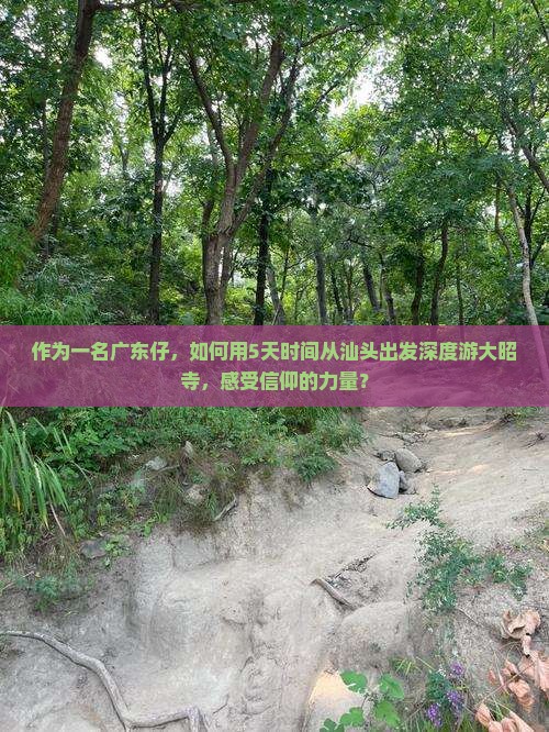 作为一名广东仔，如何用5天时间从汕头出发深度游大昭寺，感受信仰的力量？