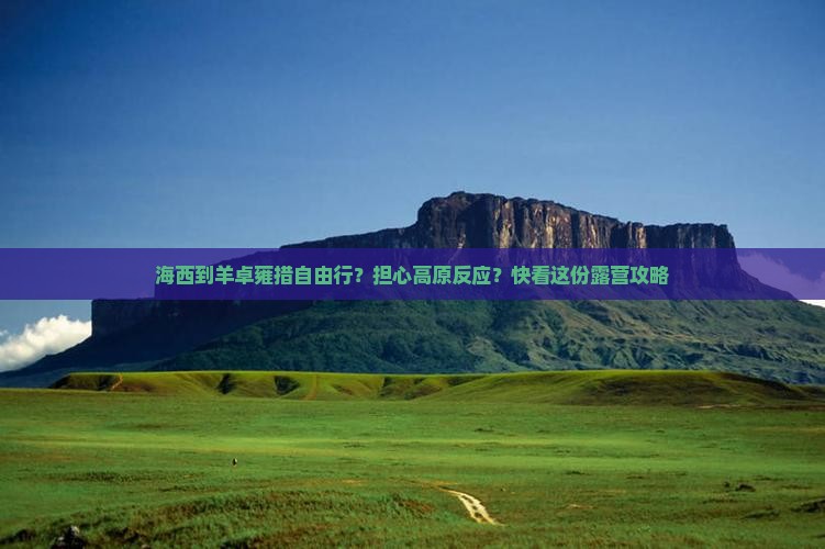 海西到羊卓雍措自由行？担心高原反应？快看这份露营攻略