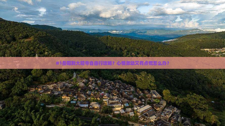 #1岳阳到大昭寺自由行攻略？心情激动又有点慌怎么办？
