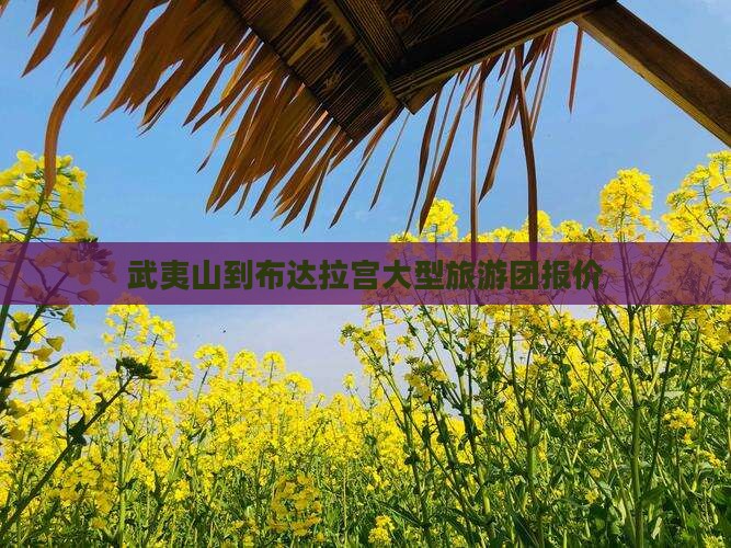 武夷山到布达拉宫大型旅游团报价
