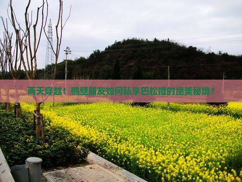两天穿越！鹤壁朋友如何私享巴松措的绝美秘境？
