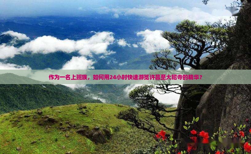 作为一名上班族，如何用24小时快速游览许昌至大昭寺的精华？