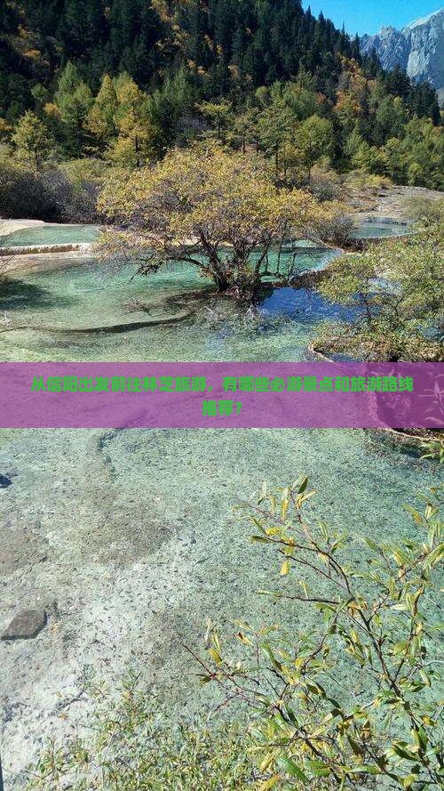 从信阳出发前往林芝旅游，有哪些必游景点和旅游路线推荐？