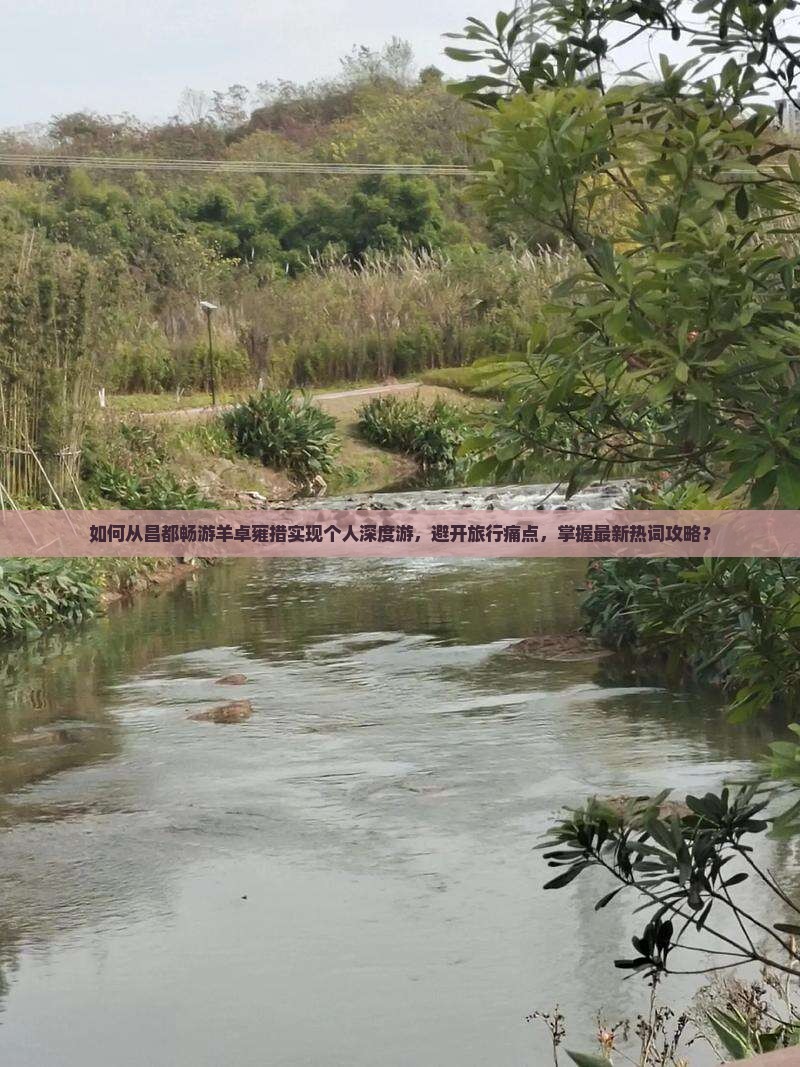 如何从昌都畅游羊卓雍措实现个人深度游，避开旅行痛点，掌握最新热词攻略？