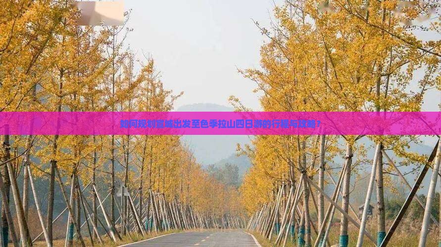 如何规划宣城出发至色季拉山四日游的行程与攻略？
