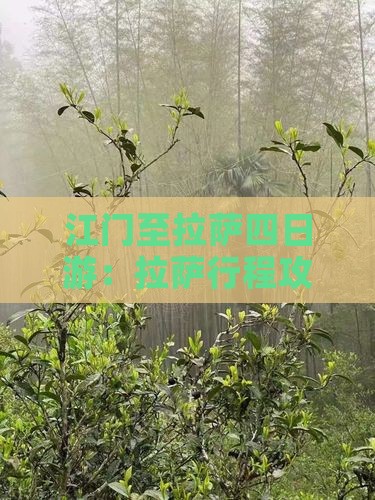 江门至拉萨四日游：拉萨行程攻略与旅游指南