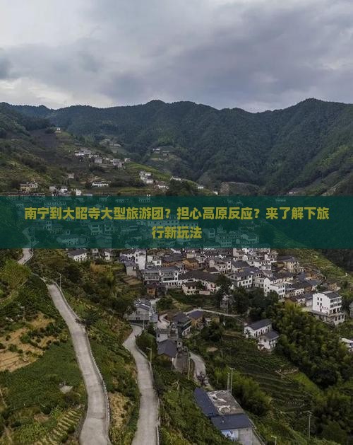 南宁到大昭寺大型旅游团？担心高原反应？来了解下旅行新玩法