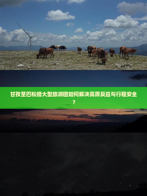 甘孜至巴松措大型旅游团如何解决高原反应与行程安全？