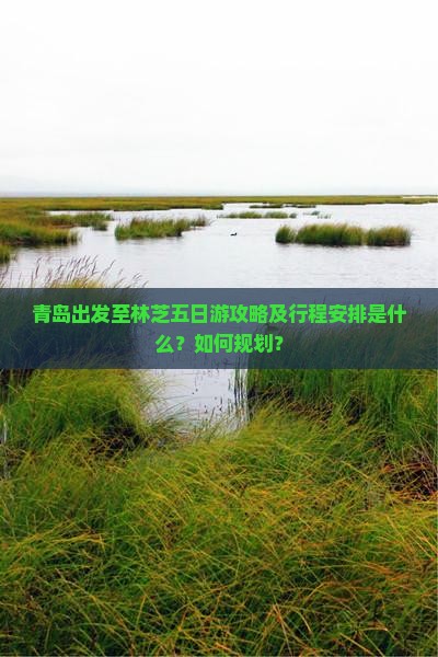 青岛出发至林芝五日游攻略及行程安排是什么？如何规划？