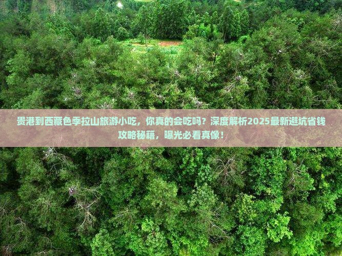 贵港到西藏色季拉山旅游小吃