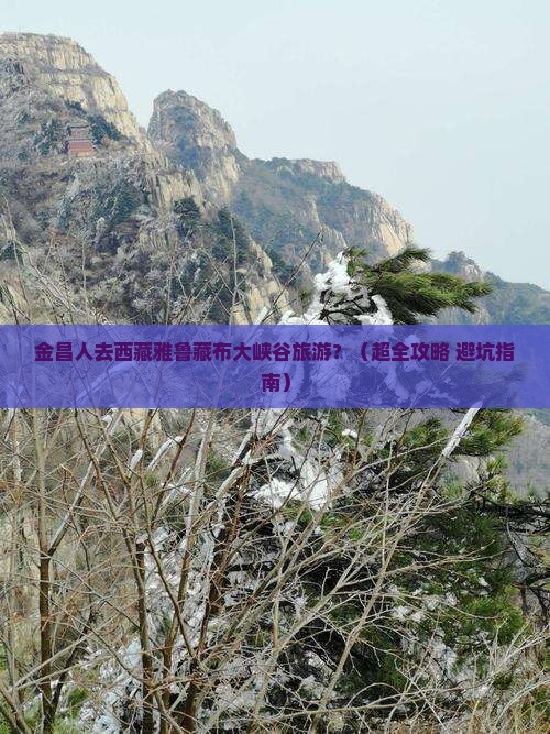 金昌到西藏雅鲁藏布大峡谷旅游