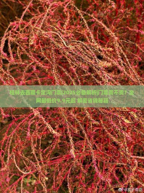 桂林去西藏卡定沟门票