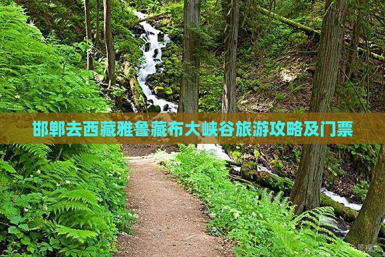 邯郸去西藏雅鲁藏布大峡谷门票