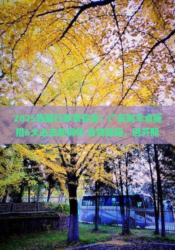 广安到西藏羊卓雍措必去地