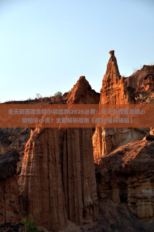 冬天到西藏鲁朗小镇旅游