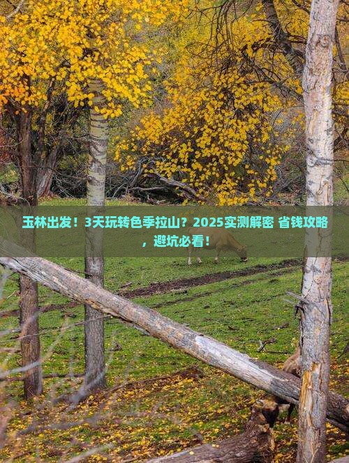 玉林到西藏色季拉山三日游