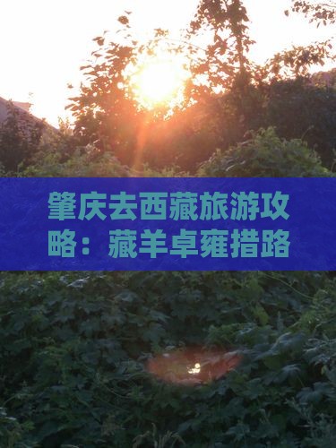 肇庆去西藏羊卓雍措攻略 肇庆去西藏羊卓雍措攻略