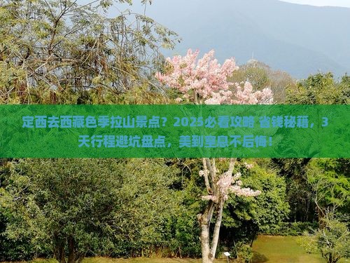 定西去西藏色季拉山景点