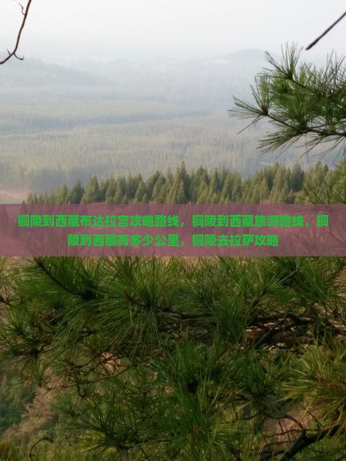 铜陵到西藏布达拉宫攻略
