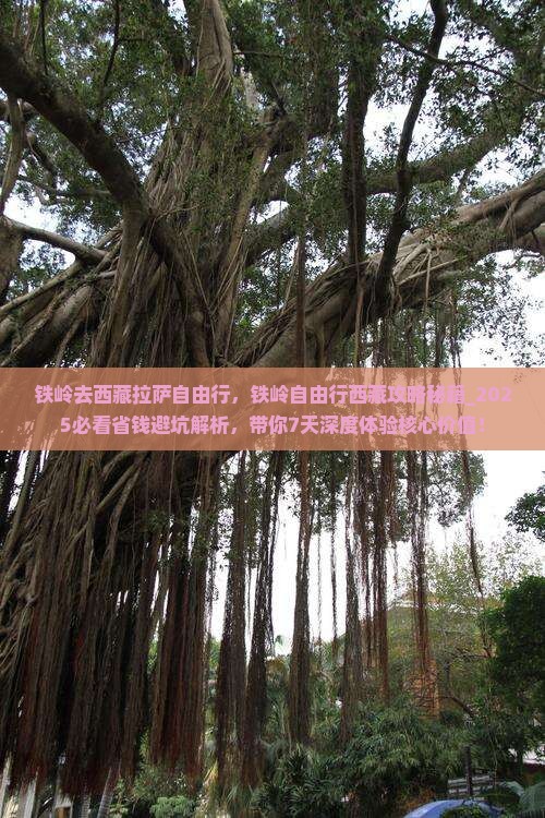 铁岭去西藏拉萨自由行