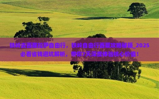 铁岭去西藏拉萨自由行