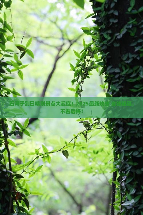 石河子到西藏日喀则景点