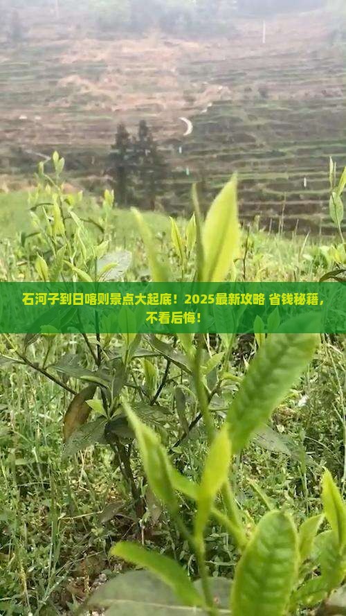 石河子到西藏日喀则景点