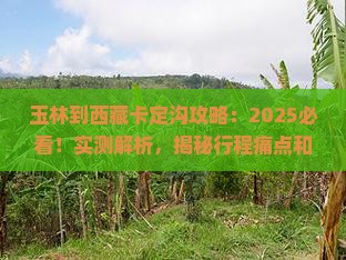 玉林到西藏卡定沟攻略