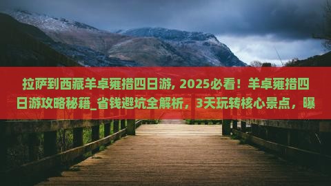 拉萨到西藏羊卓雍措四日游