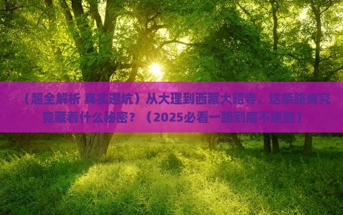 大理到西藏大昭寺二日游