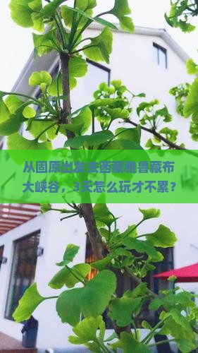 固原去西藏雅鲁藏布大峡谷哪里玩