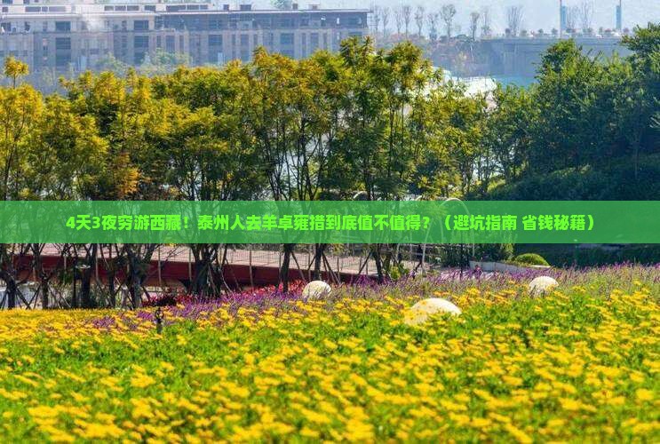 泰州去西藏羊卓雍措四日游