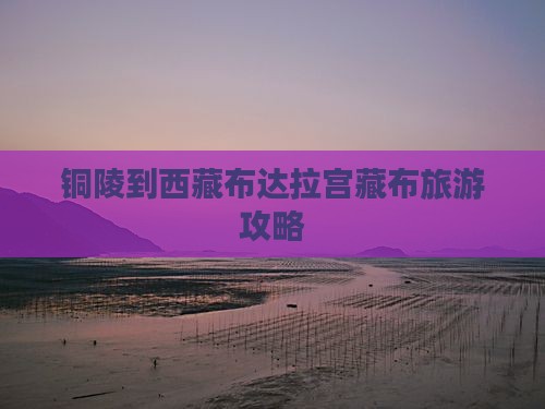 铜陵到西藏布达拉宫自由团