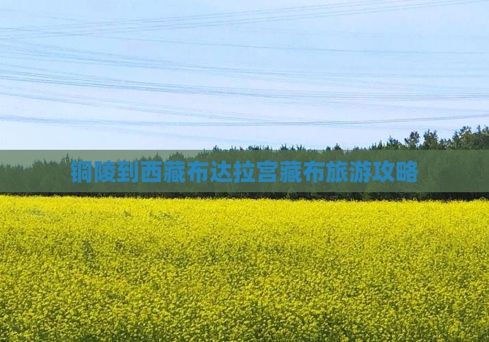 铜陵到西藏布达拉宫自由团