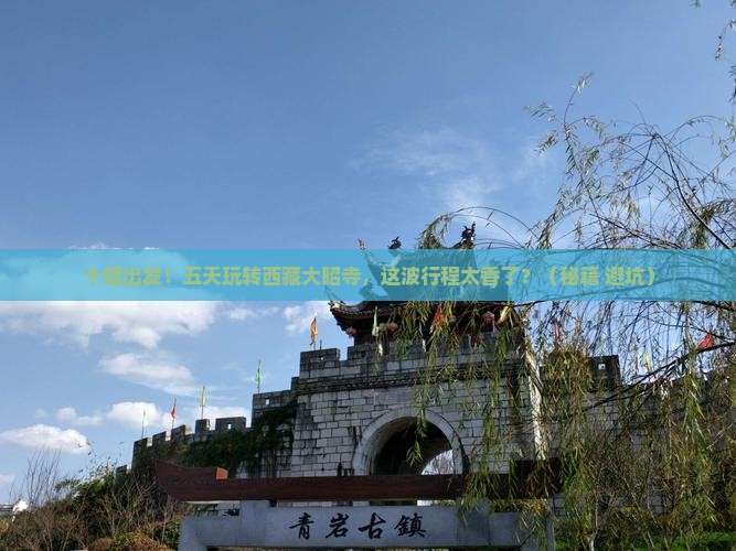 十堰去西藏大昭寺五日游