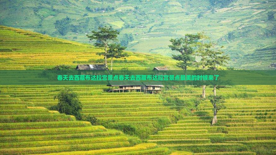 春天去西藏布达拉宫景点