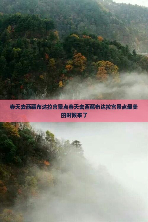 春天去西藏布达拉宫景点