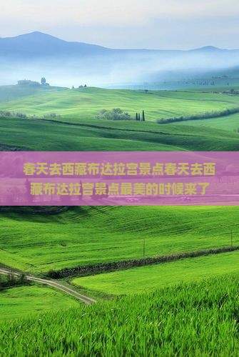 春天去西藏布达拉宫景点