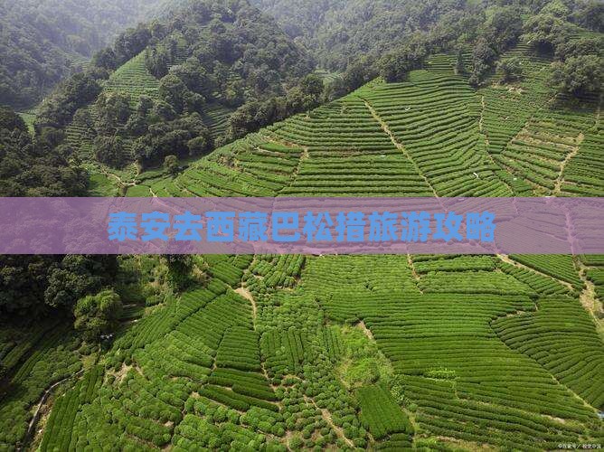 泰安去西藏巴松措团体旅游