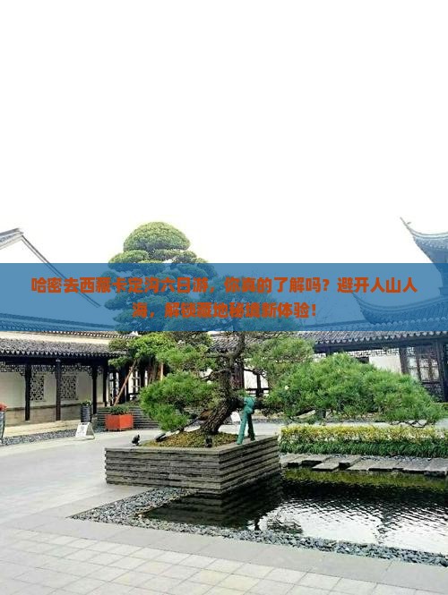 哈密去西藏卡定沟六日游