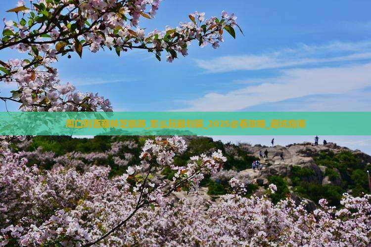周口到西藏林芝旅游