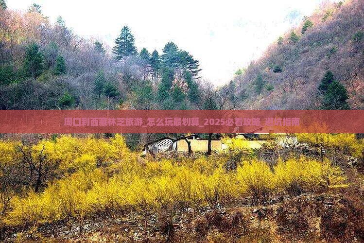 周口到西藏林芝旅游