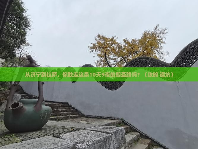 济宁到西藏拉萨景点