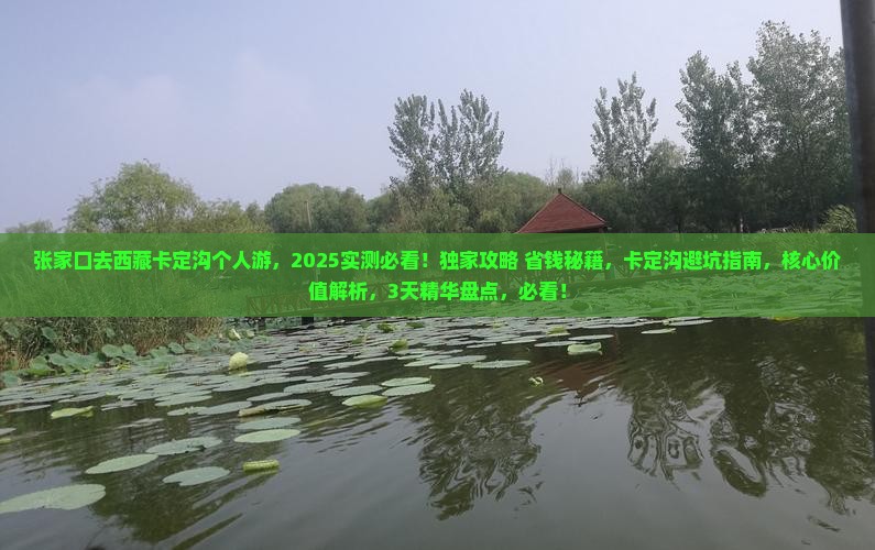 张家口去西藏卡定沟个人游