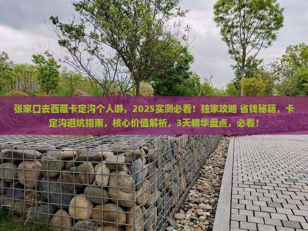 张家口去西藏卡定沟个人游