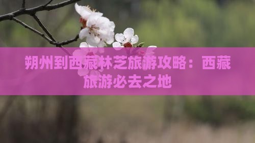 朔州到西藏林芝旅游