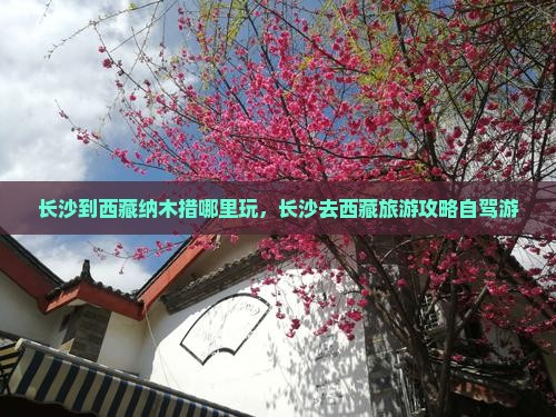 长沙到西藏纳木措哪里玩