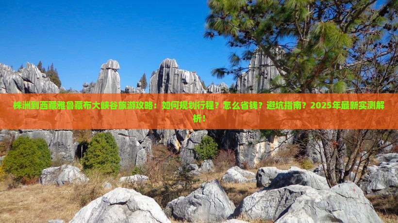 株洲到西藏雅鲁藏布大峡谷旅游